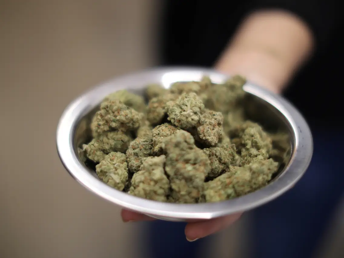 How to Enjoy HHC Bud: Tips and Recommendations for New Users