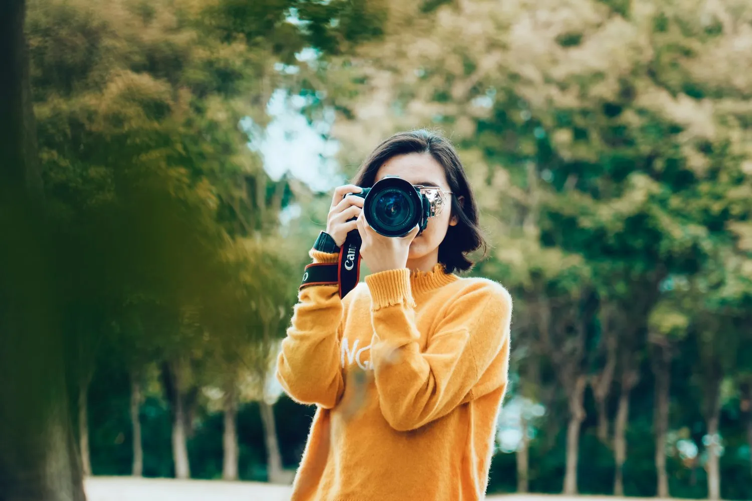How to Use Different Lenses to Enhance Your Photography Skills